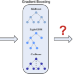 Gradient Boosting Machines (GBM): Application of XGBoost, LightGBM, and CatBoost in Finance and Marketing